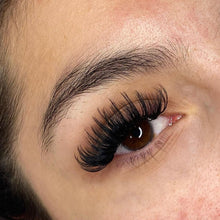 Load image into Gallery viewer, Volume Lash Extensions